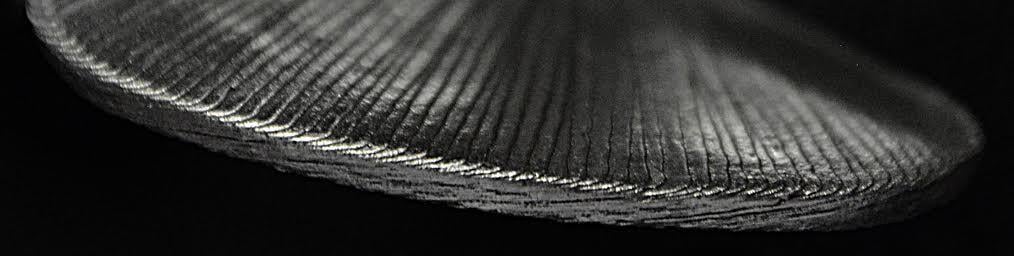 Metal 3D printed part showcasing intricate surface texture and detail, relevant to affordable metal additive manufacturing solutions by The Virtual Foundry.